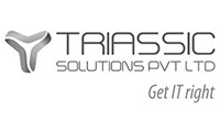 triassic-solutions